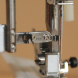 Nadeleinfdler Carina