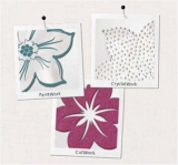 BERNINA DesignWorks - Grundsoftware